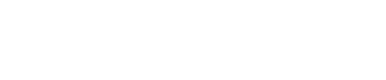 Clean Racer